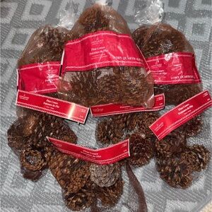 Holiday/ Christmas Pinecones